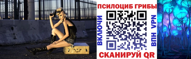 Купить  Очёр  Псилоцибиновые грибы Cubensis 