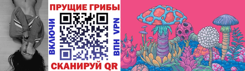 Галлюциногенные грибы Psilocybine cubensis Очёр